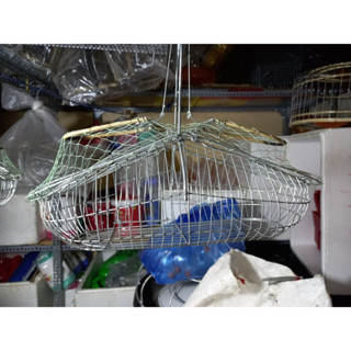  Lồng bẫy chim khuyên  bẫy chim sâu 