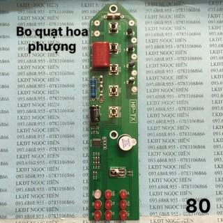 Bo Quạt Hoa Phượng