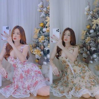 Đầm cánh tiên phối ren bánh bèo