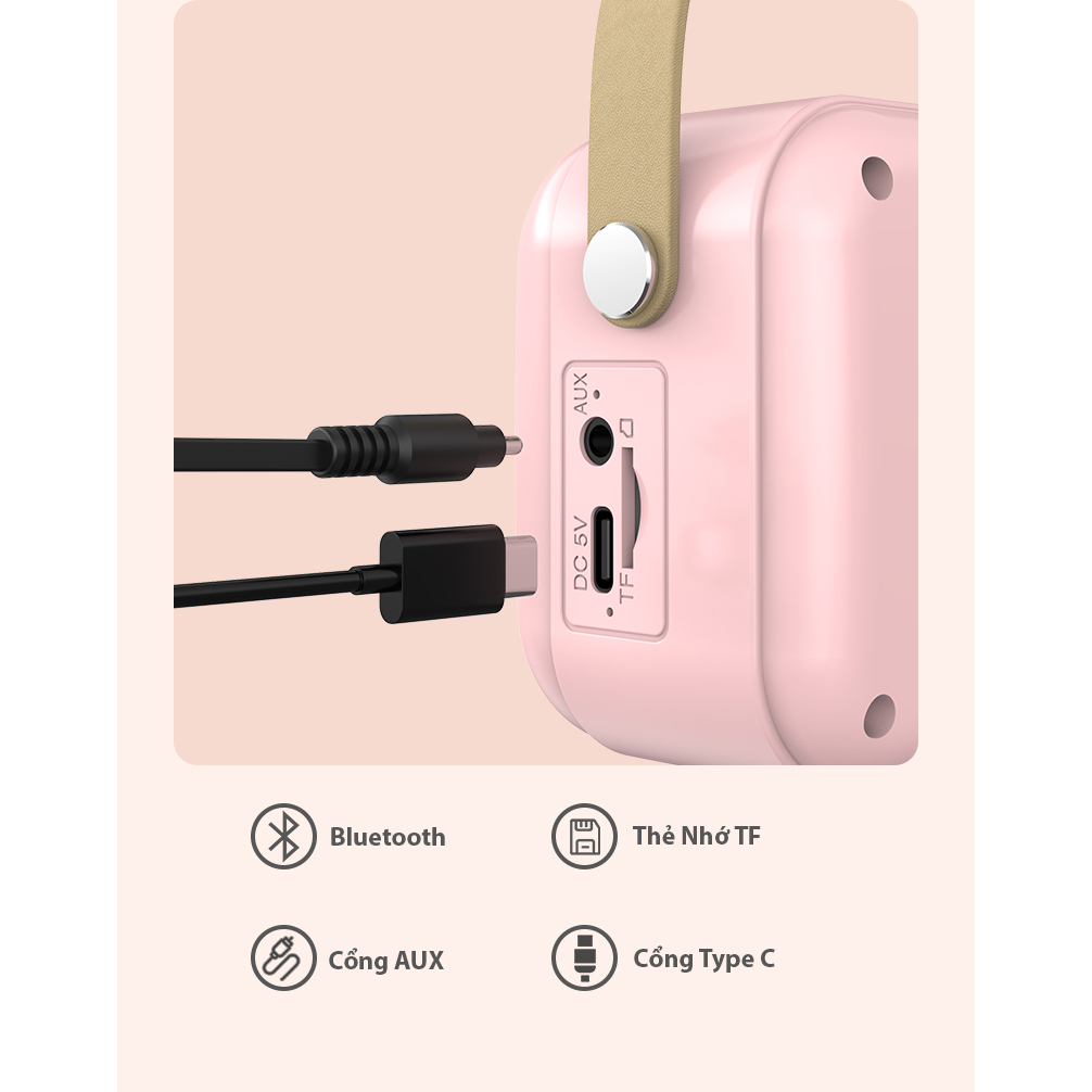 Loa Mini Hát Karaoke D12 Dành Cho Máy Chiếu Và Điện Thoại, Hỗ Trợ Bluetooth 5.0