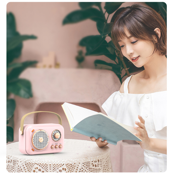 Loa Mini Hát Karaoke D12 Dành Cho Máy Chiếu Và Điện Thoại, Hỗ Trợ Bluetooth 5.0