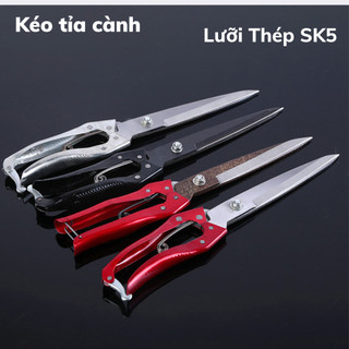 kéo tỉa dăm, kéo tỉa cành bonsai làm vườn size nhỏ và size lớn