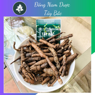 Sâm cau đen tươi 1kg - đông nam dược tây bắc