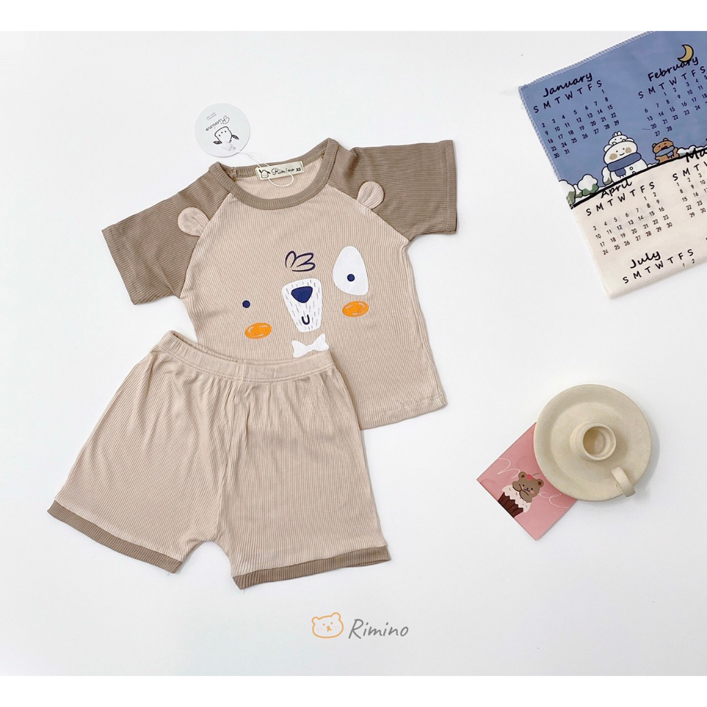 Bộ Cộc Tay Thun Lạnh In Hình Gấu Cho Bé Trai, Bé Gái Size 8-18 kg