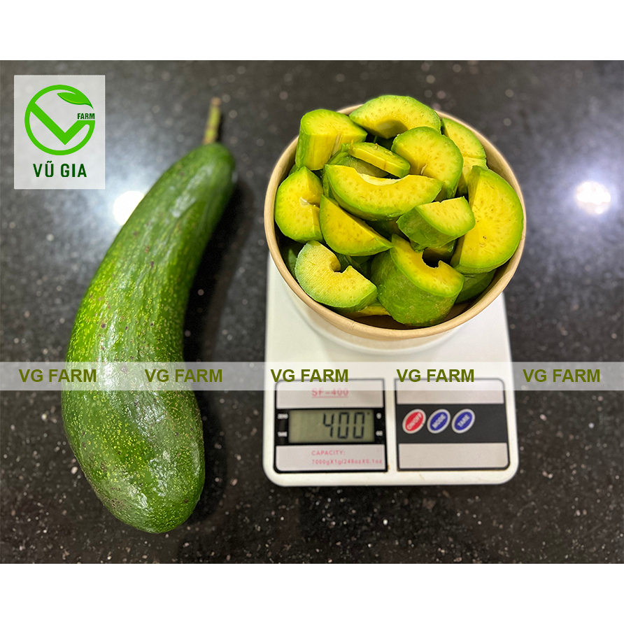 Bơ 034 Size 4-5 Trái/Kg Lâm Đồng - Vũ Gia Farm