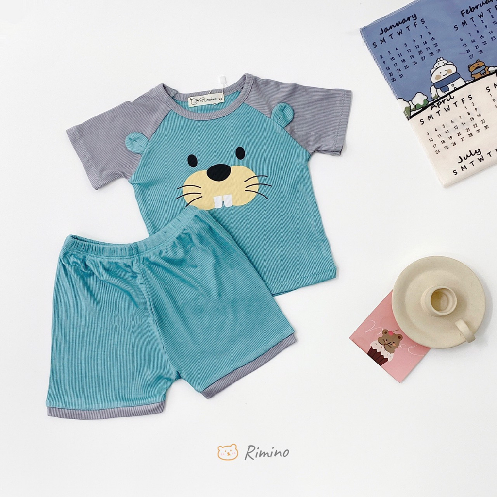 Bộ Cộc Tay Thun Lạnh In Hình Gấu Cho Bé Trai, Bé Gái Size 8-18 kg