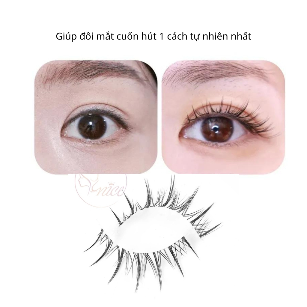 Mi Giả Gân Trong (Kèm Keo) Mix Set 3 Mẫu, 5 Mẫu, Mi dưới giả tự nhiên, sử dụng được nhiều lần