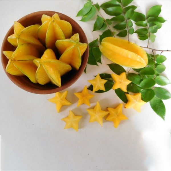 Cây khê tàu khế đài loan giống