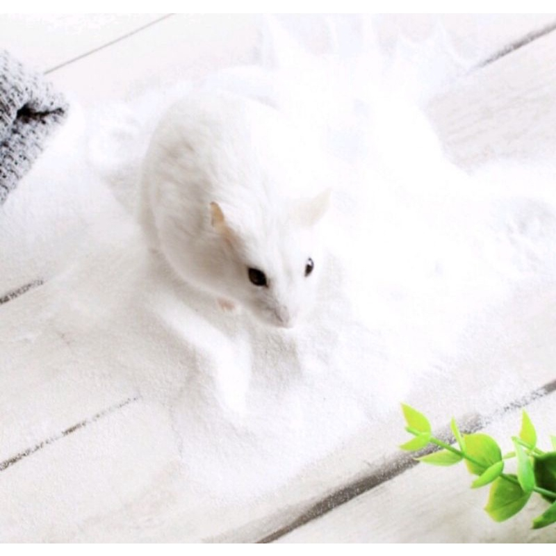 Cát tắm thơm cho Hamster 1kg
