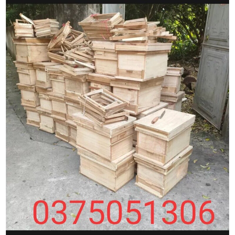 T HÙNG  NUÔI ONG MẬT,ONG NỘI GỖ GẠO ĐẠT CHUẨN