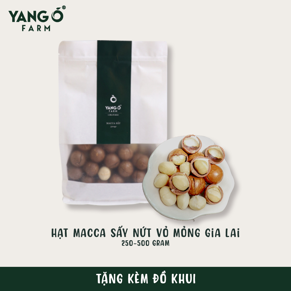 Hạt Macca Sấy Nứt Vỏ Mỏng Gia Lai Tự Nhiên YANG O FARM- Tặng kèm đồ tách vỏ