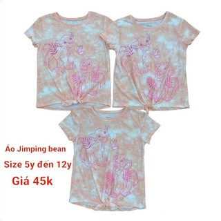 Áo bé gái xuất dư ( Size 4-5y, 7-8y, 10-12y, 10-12plus )