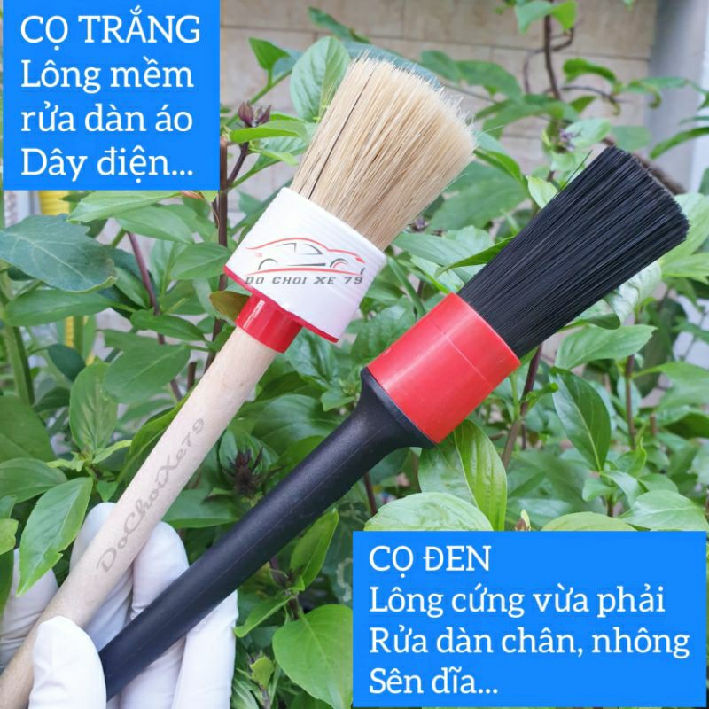 Combo 6 Món Chăm Sóc Xe Máy Ô Tô Dochoixe79 Bao Gồm Nước Rửa Xe Khăn Lau Cọ Rửa Bàn Chải Găng Tay