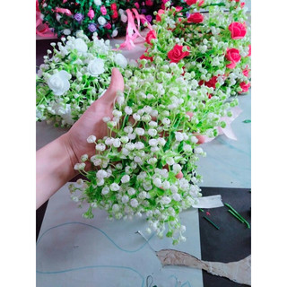 100g cỏ hoa bi cụp