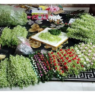 100g Cỏ hoa bi cụp