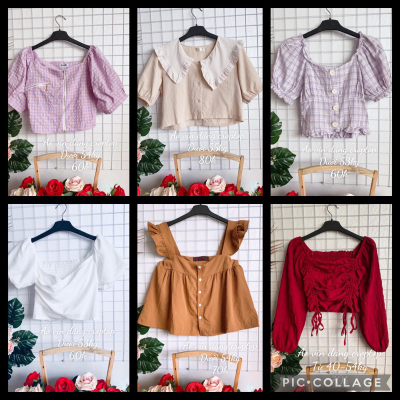 Áo vin dáng croptop