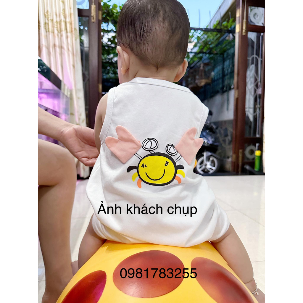 BỘ BODY BA LỖ CON CUA CHO BÉ 4-14KG