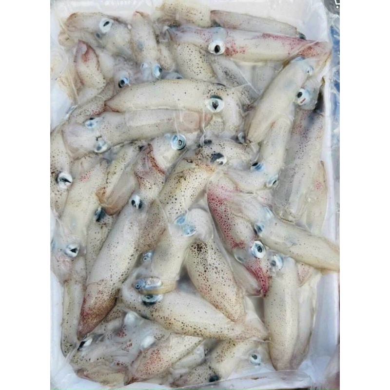 Mực tép nhỏ 0.5kg 50k