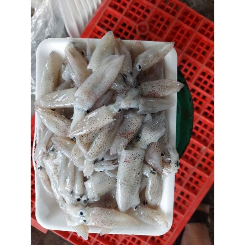 Mực tép nhỏ 0.5kg 50k
