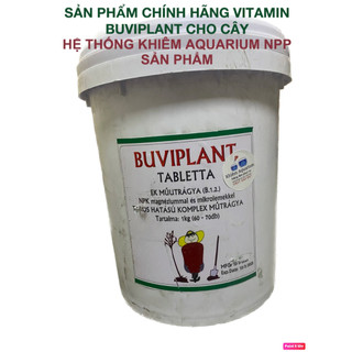 Phân bón hữu cơ tan chậm buviplant gói 30v