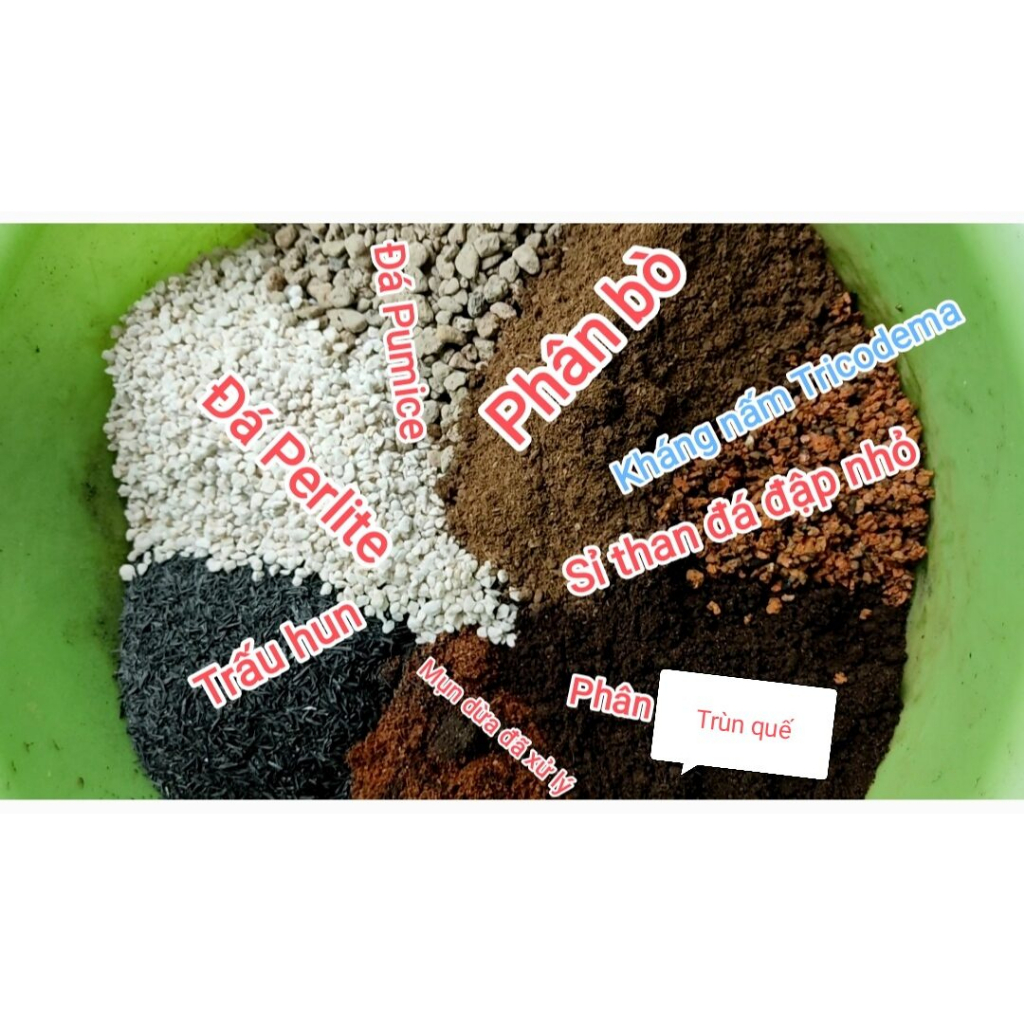 HỖN HỢP TRO TRẤU - TRẤU HUN - THUỐC TÍM TRỊ RỆP, XƠ DỪA, MÙN DỪA, PHÂN TRÙN QUẾ - GIÁ THỂ SEN ĐÁ, XƯƠNG RỒNG, CẨM NHUNG