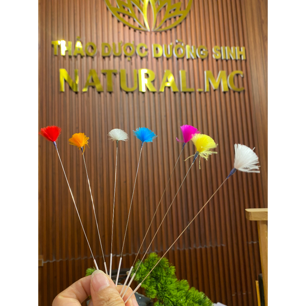 DỤNG CỤ BỘ GÕ LÔNG CÔNG THƯ GIÃN DƯỠNG SINH TRUNG HOA