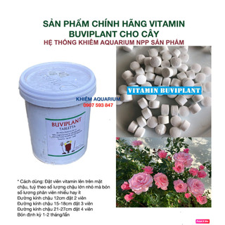 [TẶNG 35V]Phân bón hữu cơ tan chậm BUVIPLANT SIÊU DINH DƯỠNG CHO CÂY CẢNH (100V)