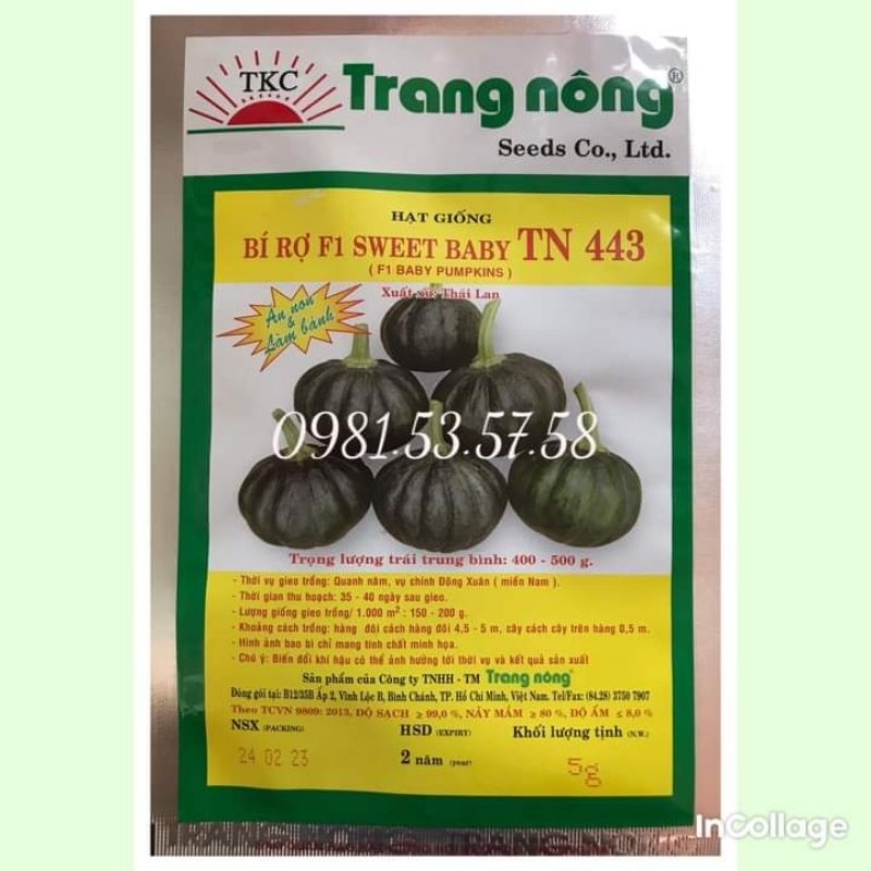Hạt giống bí đỏ ăn non (bí rợ baby) Trang Nông 5gr (tầm 50h)
