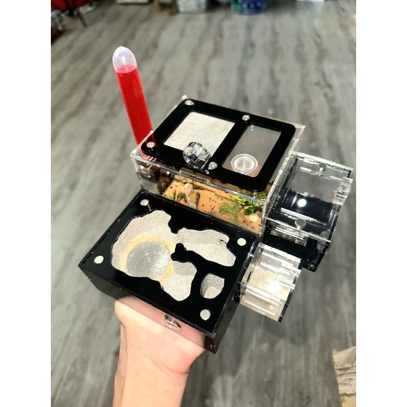 Hộp nuôi kiến N01 - Tank N01 y tông