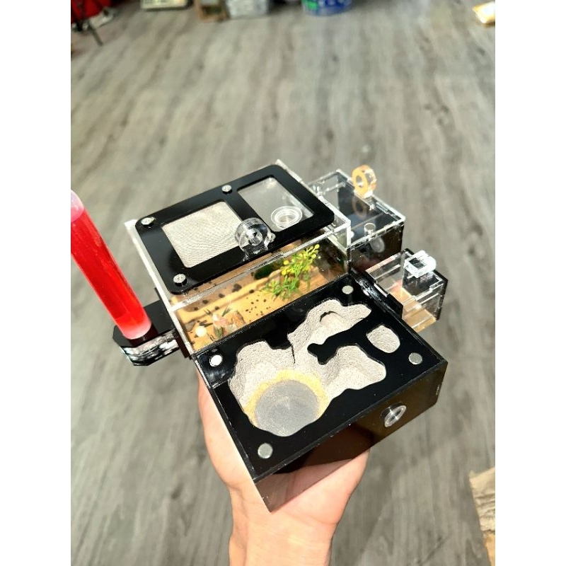 Hộp nuôi kiến/ hộp mica nuôi kiến/ Tank nuôi kiến/ Tank kiến - N01 full phụ kiện