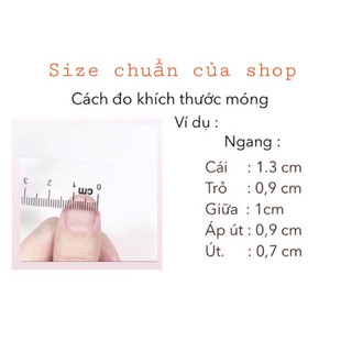 nailbox thiết kế ,móng úp,móng tay giả