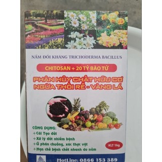 Chế phẩm sinh học trichodema chống thối rễ, vàng lá, héo rũ (rãi gốc ủ phân)