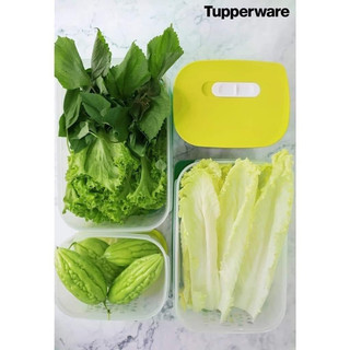 HỘP VENSMART NÚT HÔ HẤP 4.4L và 6.1L ( tuyển sỉ)
