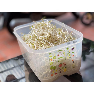 HỘP VENSMART NÚT HÔ HẤP 4.4L và 6.1L ( tuyển sỉ)