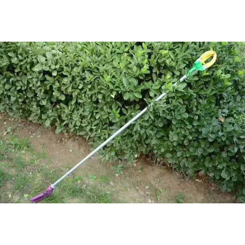 Vợt hái trái cây trên cao dài 2m