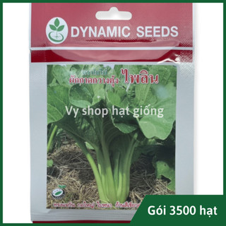  Hạt giống cải ngọt khổng lồ Thái Lan gói 3500 hạt 