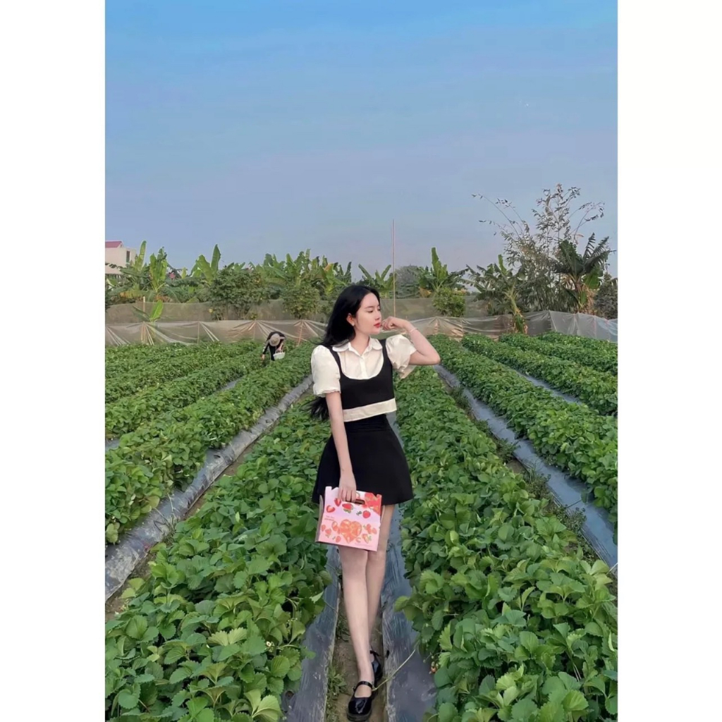 Sét Váy 3 Chi Tiết Gồm Áo Gile + Sơ Mi Croptop + Chân Váy Có Quần Trong