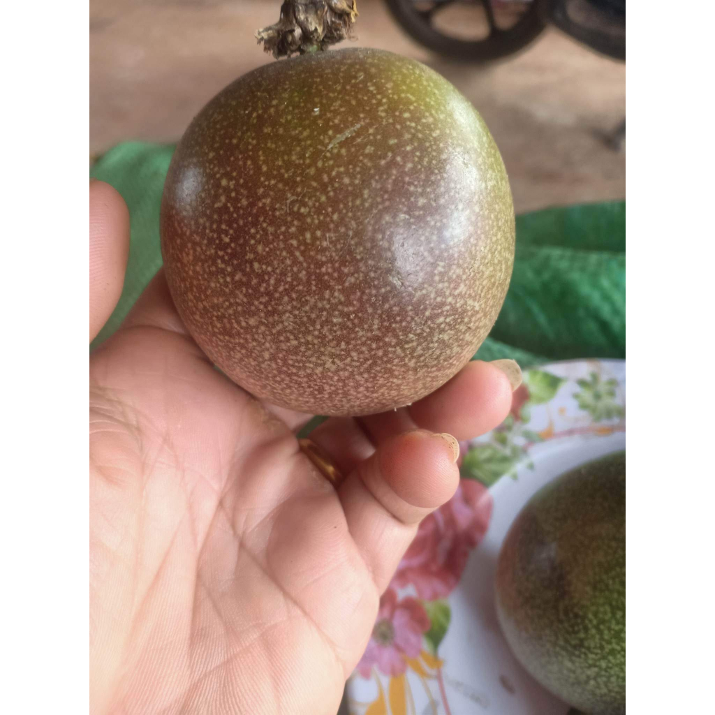 Quả chanh dây tươi  ruột tím chín cây nguyên quả daklak