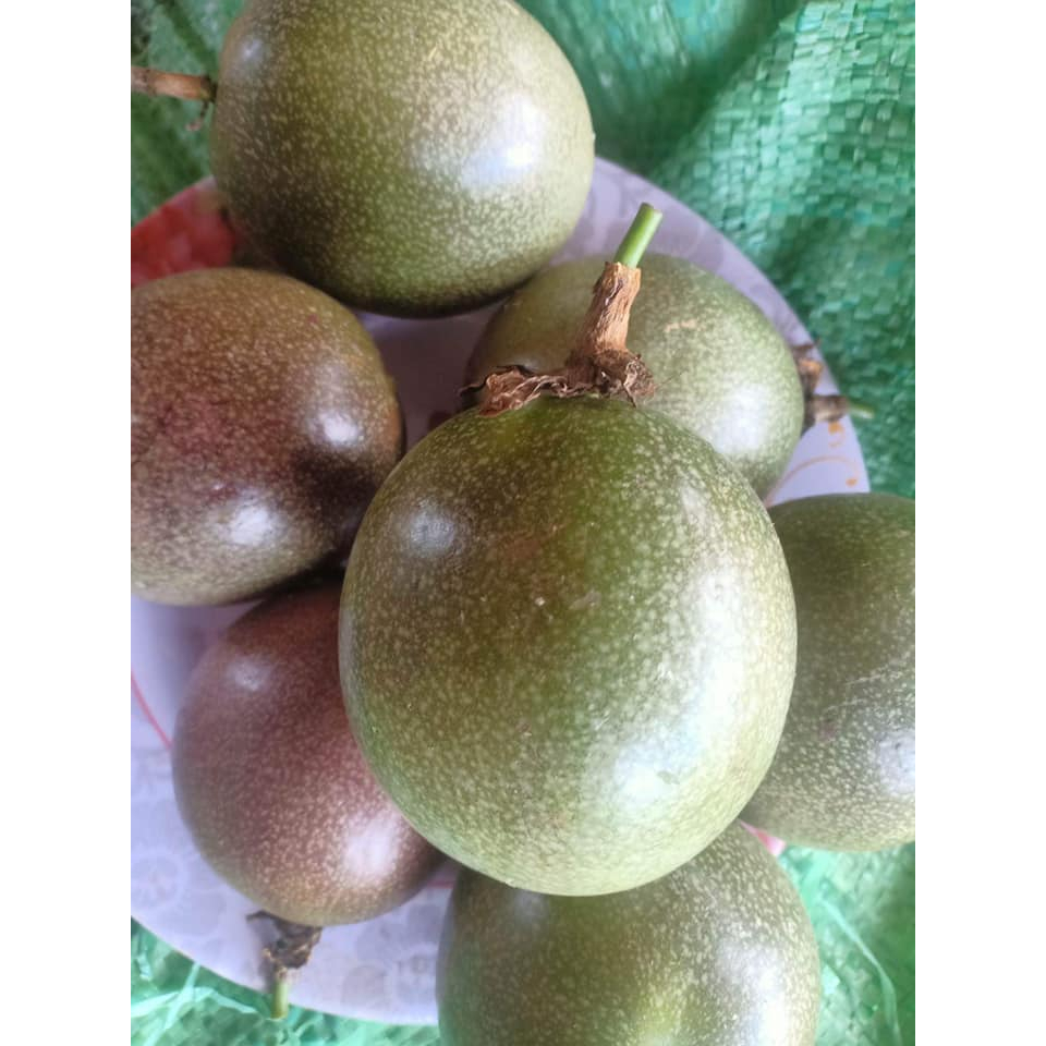 Quả chanh dây tươi  ruột tím chín cây nguyên quả daklak
