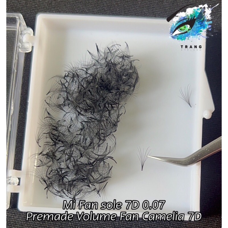 Mi Fan Sole Camelia 6D&7D Cong Cc 0.07 Fan Tay Sẵn