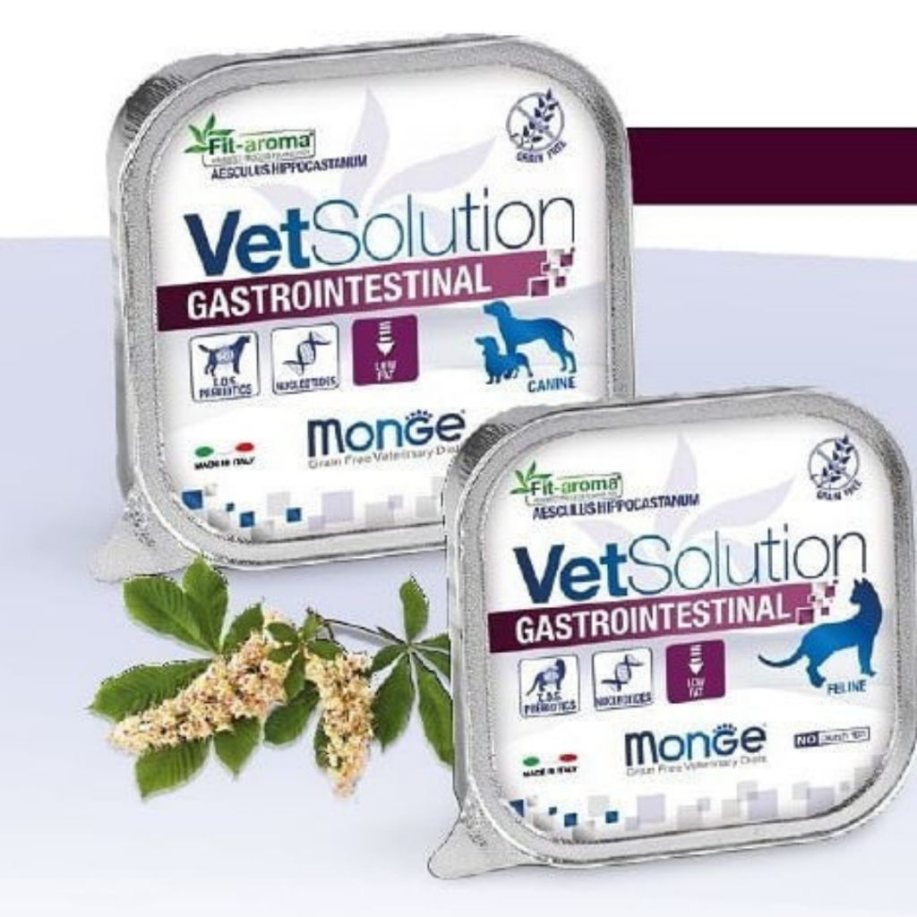 Pate điều trị rối loạn tiêu hóa, tiêu chảy cho Mèo Monge Vetsolution Gastrointestinal 100g