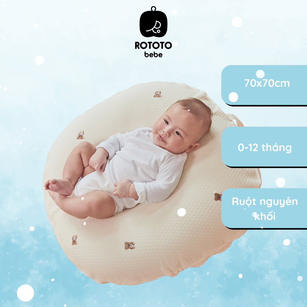 Gối chống trào ngược cho bé  Airmesh thoáng khí Rototo Bebe ALADDINVINA