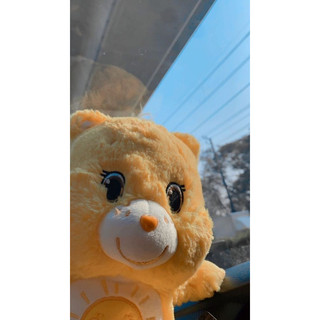Gấu bông Cearbears mắt thêu