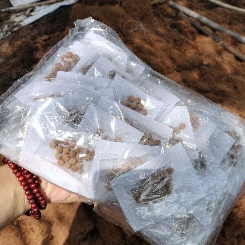 Thiếu máu cơ tim