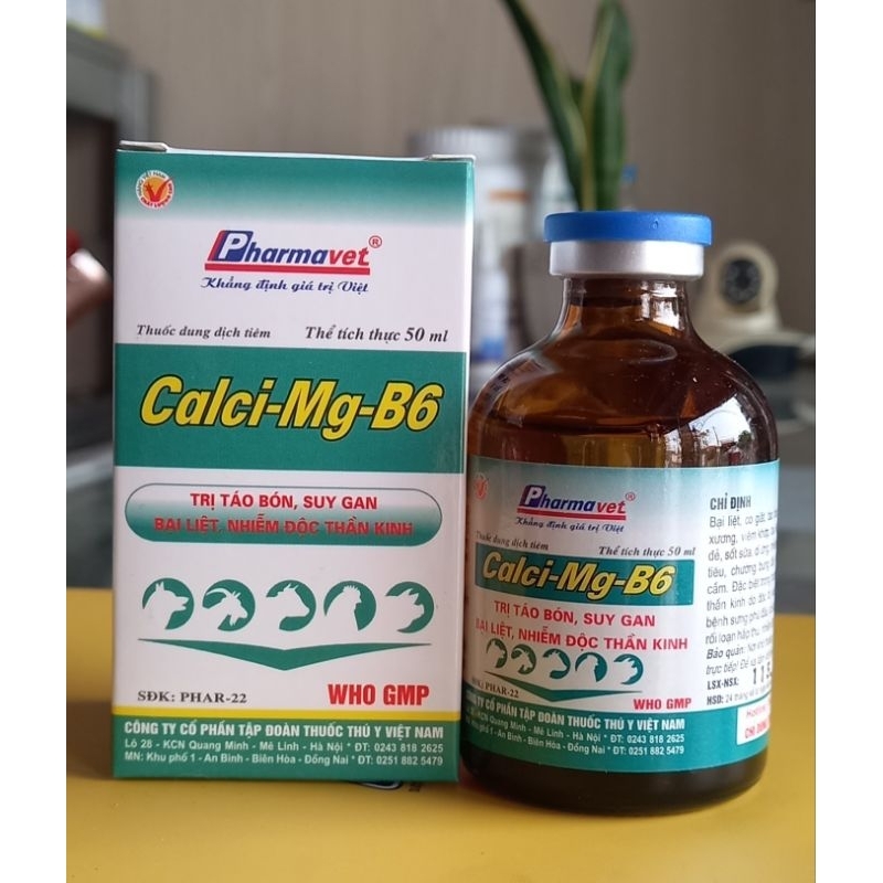 100ml Calci- Mg-B6: b.ại liệt,t.áo bón