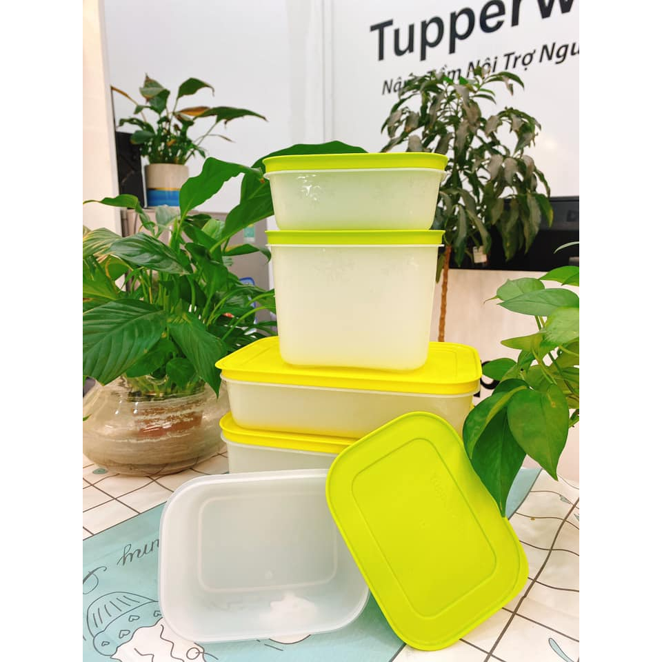 BỘ HỘP ĐÔNG DẺO COZY- TUPPERWARE