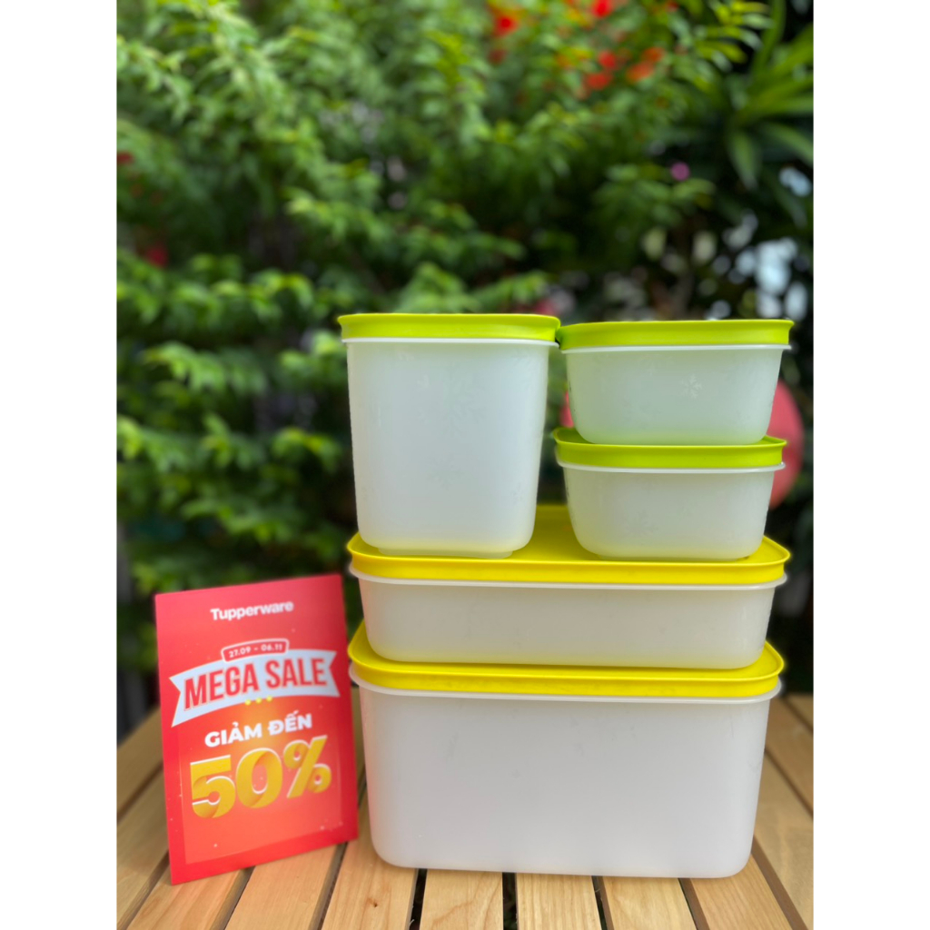 BỘ HỘP ĐÔNG DẺO COZY- TUPPERWARE