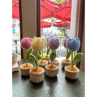 Chậu hoa tulip handmade để bàn / chậu hoa tulip bằng len handmade