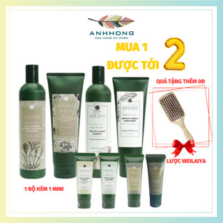 Cặp dầu gội gừng hà thủ ô 400ml + dầu xả gừng hà thủ ô 250ml kích mọc tóc Weilaiya Zingiber Officinale Juice