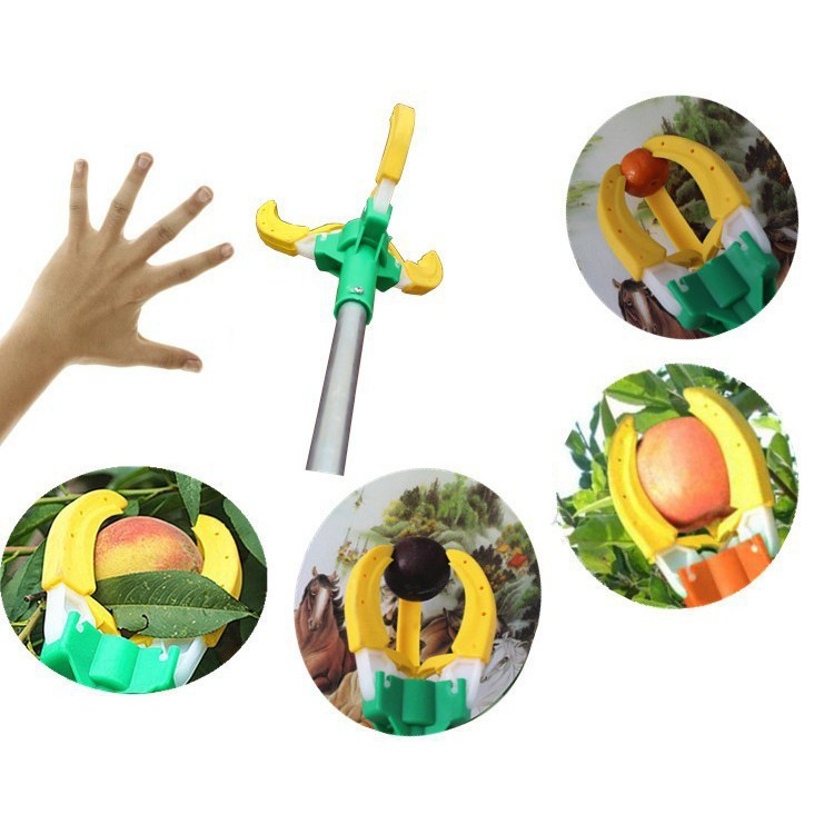 Vợt hái trái cây trên cao dài 2m